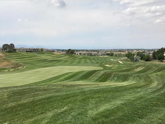 Golf Green Photo