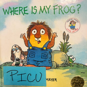 Where is My Frog Book Cover