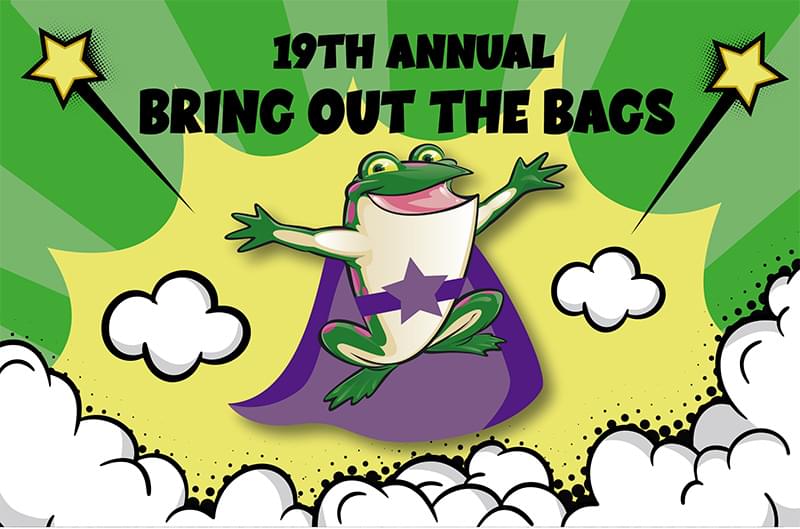 The Bags of Fun frog logo with a purple super hero cape and purple start belt. The frog is flying above the clouds and there is a yellow sung and green rays behind.