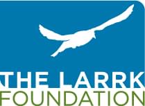 The Larrk Foundation Logo - there is a blue box with a rounded top right edge. There is a white silhouette of a bird centered in the box and the words The Larrk are in white at the bottom of the blue box. Underneath the box is the word Foundation in green text.